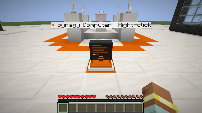 The Synagy Computer in the Workshop world